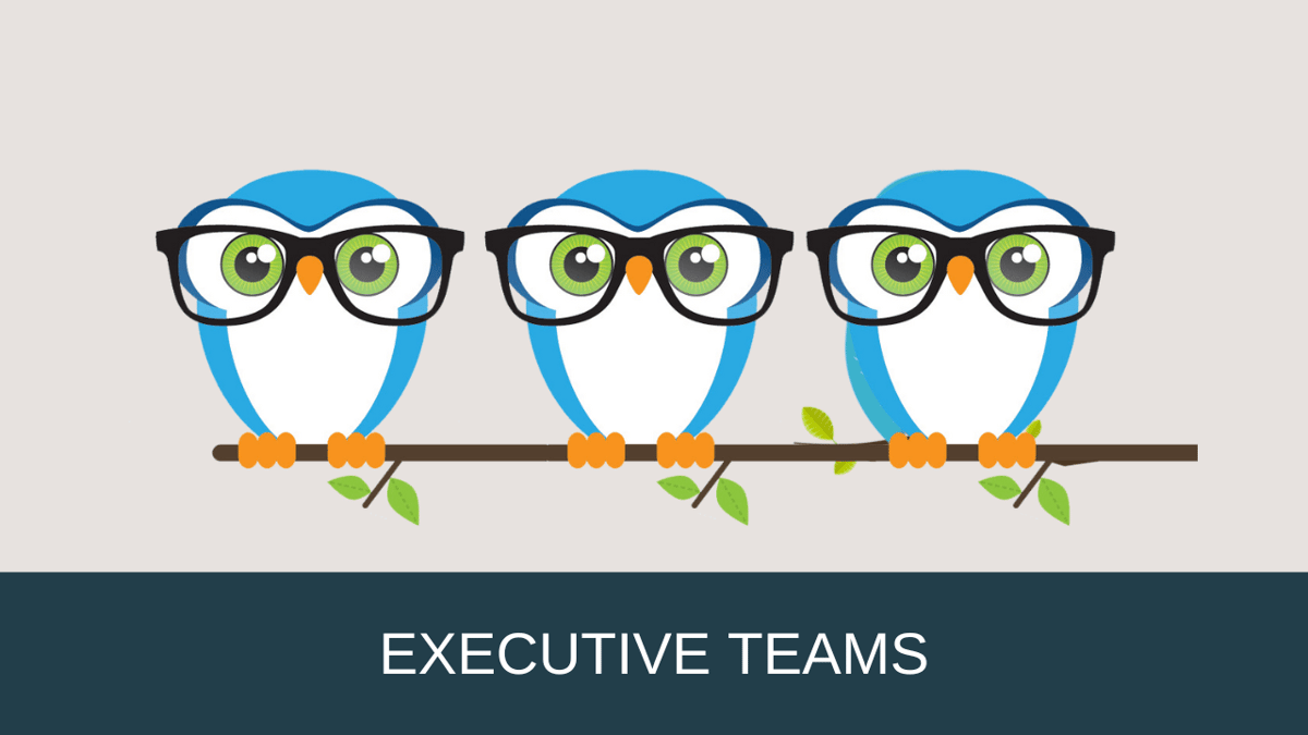 Executive Team Owl governwith